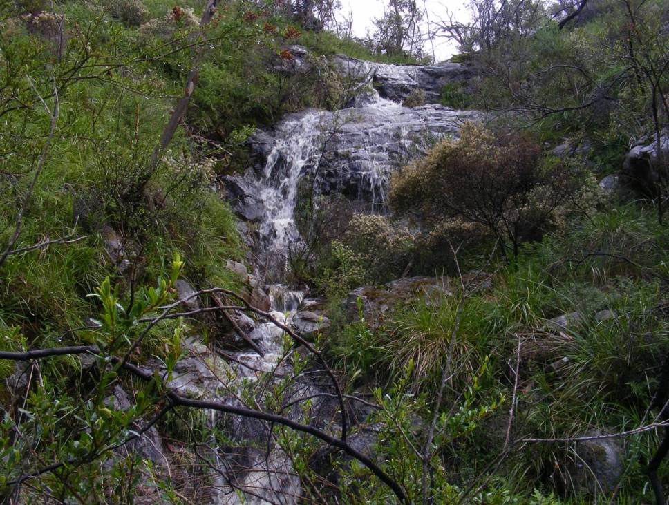creek photo